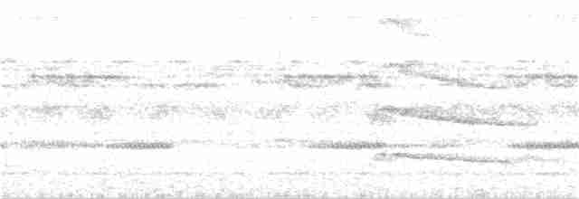 Great Eared-Nightjar - ML316886021