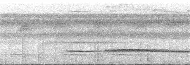 Ochre-striped Antpitta - ML316899341