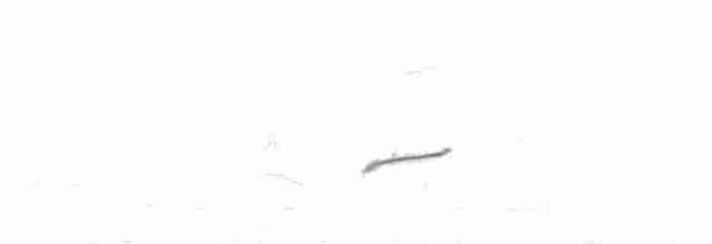Oriole cul-noir - ML316916981