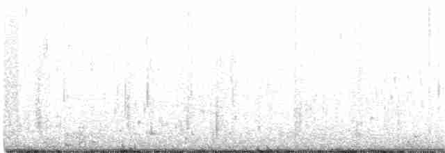 Common Merganser (North American) - ML317310481