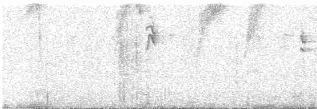 Grass Wren (Paramo) - ML317319211