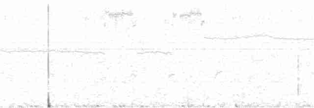 White-crowned Wheatear - ML317393041