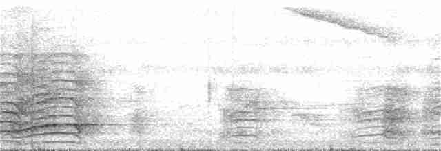 Malabar Gray Hornbill - ML317394471