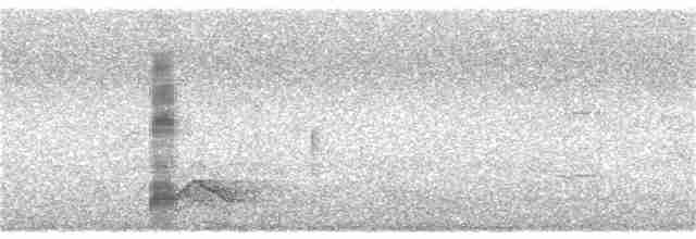 Kestane Taçlı Kotinga - ML31741021