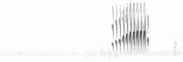 Eye-ringed Thistletail - ML31745841