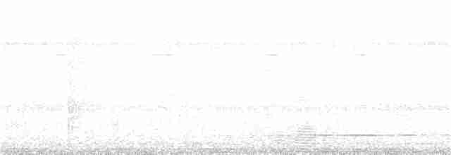 Gray-legged Tinamou - ML317503421