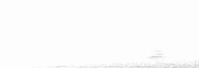 datlíček zlatoflitrový (ssp. buffonii) - ML317503621