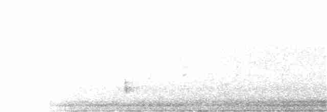 Дрізд-короткодзьоб плямистоволий - ML317546651