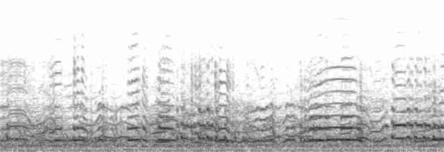 Cygne siffleur - ML317608501