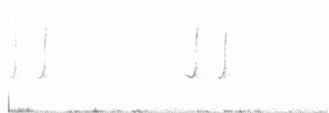 Yağmur Bıldırcını - ML31769561