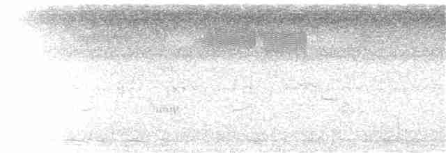Loggerhead Shrike - ML31781721