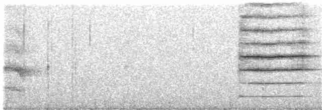 Kara Yanaklı Saksağan Kargası - ML317841491