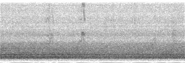 Pileated Woodpecker - ML317856131
