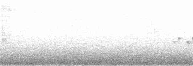 Black-eared Shrike-Babbler - ML317904651