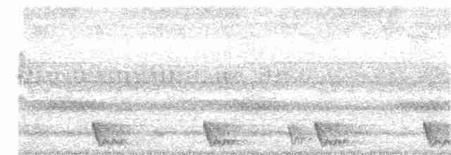 Large-tailed Nightjar - ML317912451