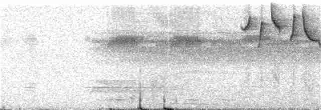 Прямоклювый колибри-отшельник - ML317973051