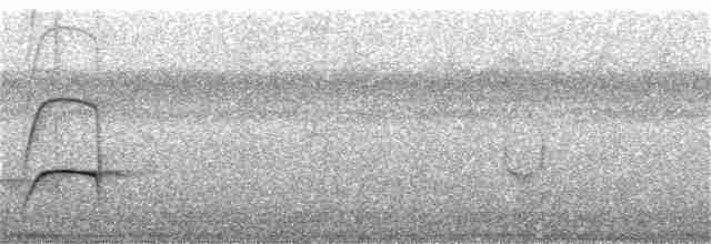 Jacamar à queue rousse (rufoviridis/heterogyna) - ML318002491