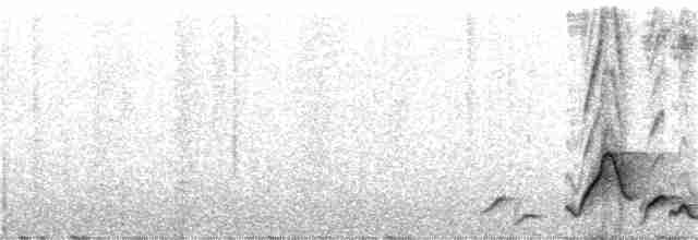 Поплітник рудоспинний - ML318228911
