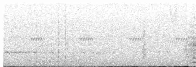 Eurasian Collared-Dove - ML318300261
