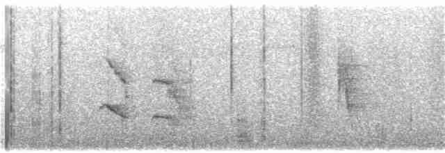 Nordamazonien-Ameisenschnäpper - ML318316301