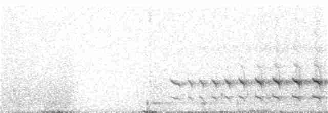 Mérulaxe du Narino - ML318443671