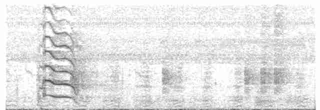 Large-billed Tern - ML318496201