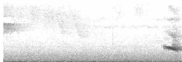 Channel-billed Toucan - ML318512161