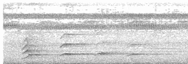 White-throated Toucan - ML318513401