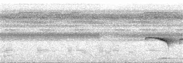 Dreibinden-Ameisenvogel - ML318634981
