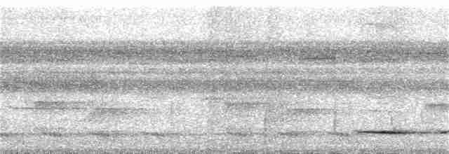 Ochre-striped Antpitta - ML318647071