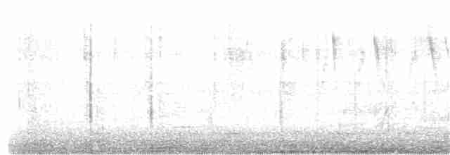 ノドジロハリオアマツバメ（vauxi） - ML318702601