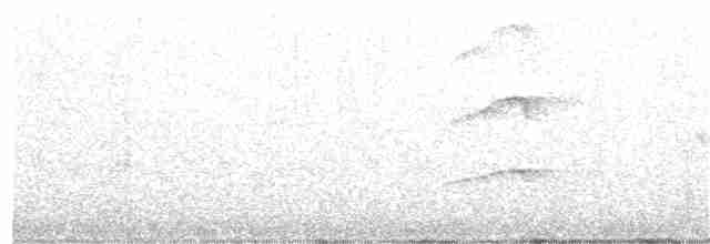 Swallow-tailed Kite - ML318869761