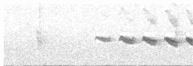 Perlenkehl-Ameisenschlüpfer - ML318970641