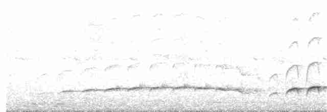 Fleckenbrust-Ameisenvogel - ML318972321