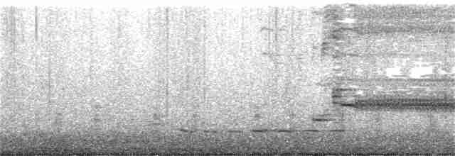 Al Kanatlı Karatavuk [phoeniceus grubu] - ML319061231