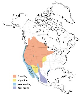 Figure 1. Distribution of Clark&#39;s Grebe. - Range Map