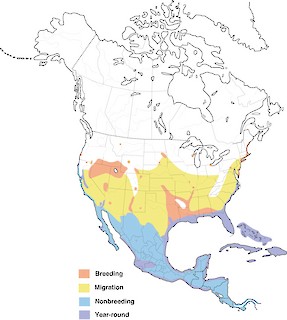 Figure 1. Distribution of the Snowy Egret in N. America. - Range Map