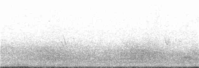 Kara Gagalı Saksağan - ML319196821
