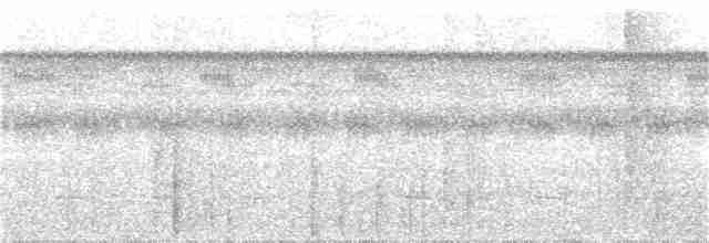 Kara Başlı Karıncakuşu (minor/jensoni) - ML319232611