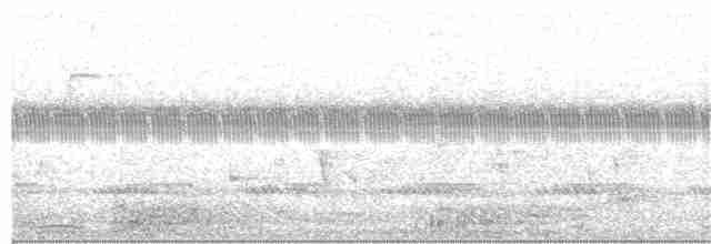 Einsiedelwasserläufer (solitaria) - ML31927141