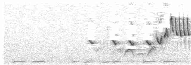 White-breasted Sunbird - ML319348991