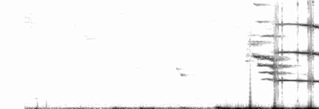 Indian Gray Hornbill - ML319389381