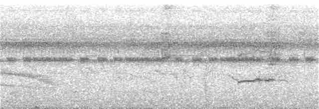 Сероголовый мухоед - ML319491931
