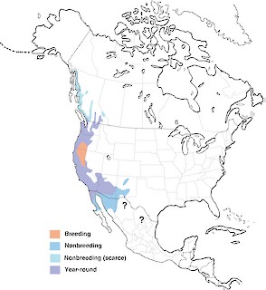 Figure 1. Range of Anna's Hummingbird. - Range Map