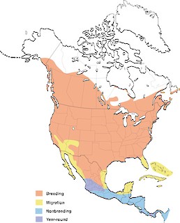 Figure 1. Distribution of the Barn Swallow in North America. - Range Map