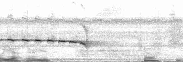 Kuzeyli Kestanerengi Karıncakuşu (hemimelaena) - ML31957