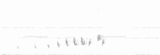 Buff-collared Nightjar - ML31957051