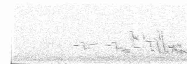 Sharp-tailed Grouse - ML319591661