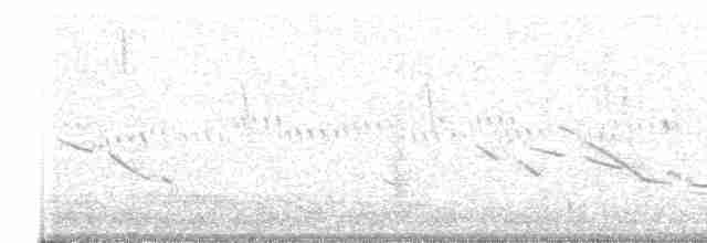 Chihuahuan Meadowlark - ML319611251