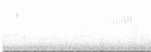 Желтогорлая древесница - ML319611321